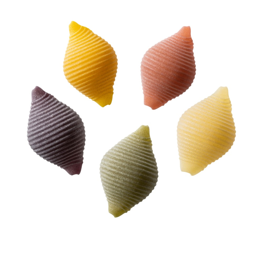 Dalla Costa Conchiglie 5 Colori Con Curcuma, Spinaci, Barbabietola E Carota Nera Confezione Risparmio 12x500gr