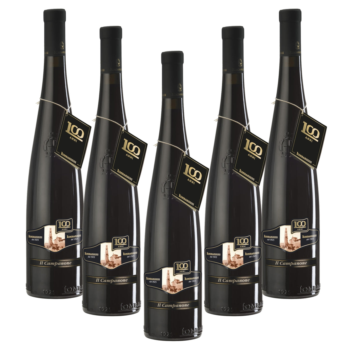Confezione risparmio Lambrusco 6 bottiglie Il Campanone Reggiano DOP, Vino Frizzante Rosso Secco 750 ml Cantine Lombardini premiato Best Lambrusco e World Champion Sparkling Red Wine al CSWWC 2025 di Londra