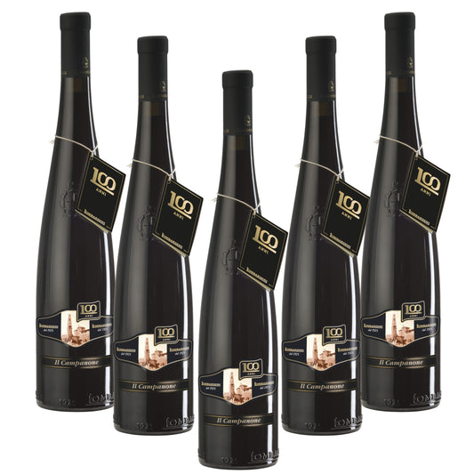 Confezione risparmio Lambrusco 6 bottiglie Il Campanone Reggiano DOP, Vino Frizzante Rosso Secco 750 ml Cantine Lombardini premiato Best Lambrusco e World Champion Sparkling Red Wine al CSWWC 2025 di Londra