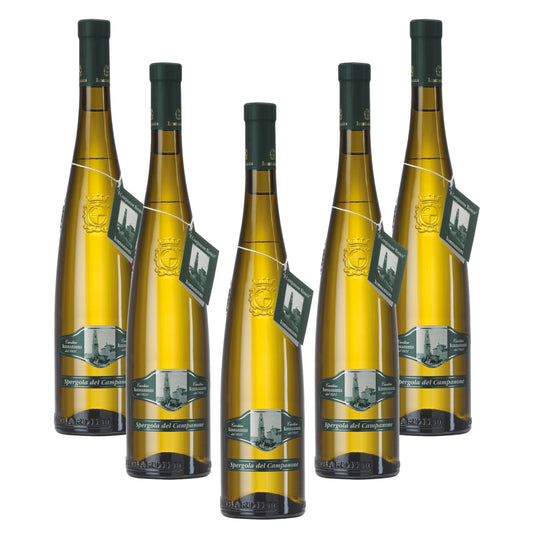 Confezione risparmio 6 bottiglie di Spergola del Campanone IGP Vino Frizzante Bianco Secco 750 ml Cantine Lombardini