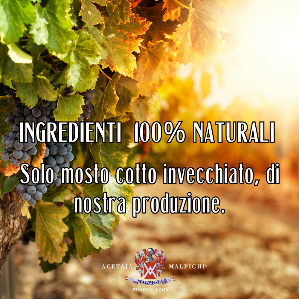 Acetaia Malpighi – Aceto Balsamico Tradizionale di Modena DOP Extravecchio al Ginepro – 100 ml – Solo Mosto Cotto – Selezione da Alta Ristorazione