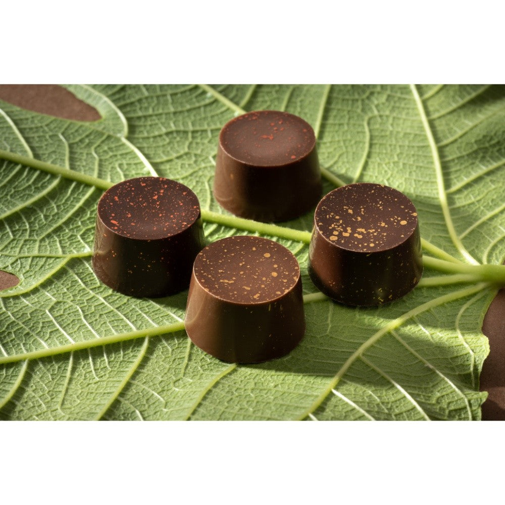 Cioccolato Gourmet Praline Vegane artigianali